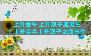 上升金牛 上升双子座男生？上升金牛上升双子之间出生